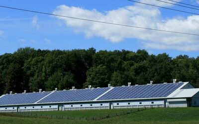 KI für die Solidarische Landwirtschaft (SoLaWi)