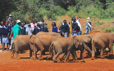 Mitgliederverwaltung