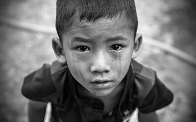 Inklusions-NGOs – Aufgaben