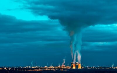 KI-Tools bei Umwelt-NGOs