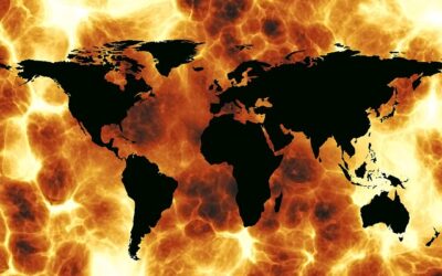 Politik- und Menschenrechts-NGOs – Aufgaben